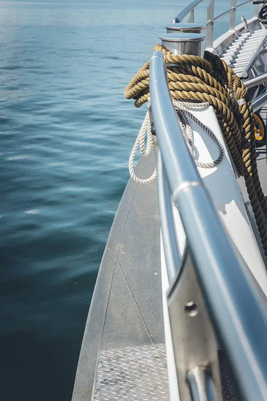 Vandal.Boats Premium Domain